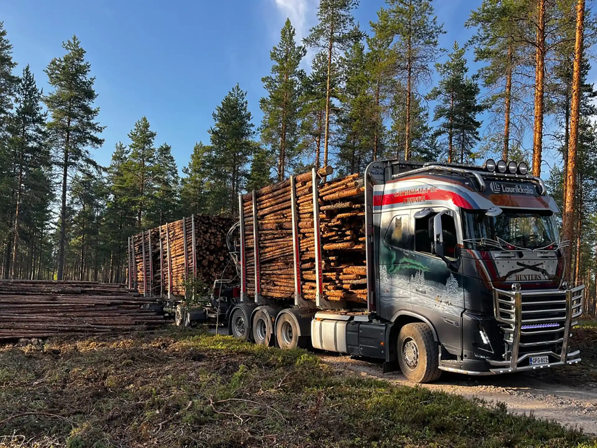Laurikkalan puutavararekka metsässä täydessä lastissa